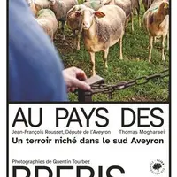Au pays des brebis