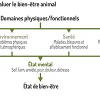 Schéma : Les cinq domaines pour évaluer le bien-être animal© Source : Mellor et Al. 2020