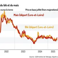 Graphique : Cours du blé et du maïs - Prix en base juillet (hors majorations) ©GEB-Institut de l'élevage, d'après Le