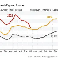 Graphique : Cotation de l'agneau français ©GEB-Institut de l'élevage, d'après FranceAgriMer
