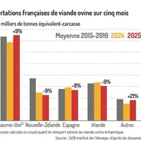 Graphique : Importations françaises de viande ovine sur cinq mois ©GEB-Institut de l’élevage, d’après les douanes françaises</
