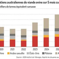 Graphique : Exportations australiennes de viande ovine sur 5 mois cumulés ©GEB-Institut de l’élevage, d’après les douanes aust