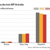 Ventes des trois AOP de brebis