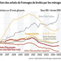 Évolution des achats de fromages de brebis par les ménages