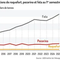 Exportations de roquefort, pecorino et feta au 1er semestre