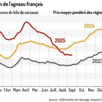 Cotation de l'agneau français
