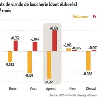 Achats de viande de boucherie (dont élaborés) sur 7 mois