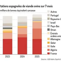 Exportations espagnoles de viande ovine sur 7 mois