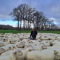 Eleveur au milieu de ses brebis