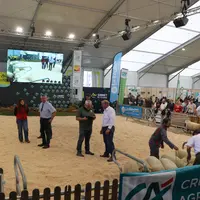 Concours national Southdown au pôle ovin du Sommet de l'Elevage 2025.