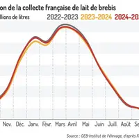 Graphique : Évolution de la collecte française de lait de brebis ©GEB-Institut de l'élevage d'après FranceAgriMer</e
