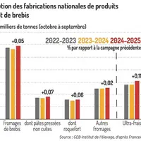 Graphique : Évolution des fabrications nationales de produits au lait de brebis (octobre à septembre)©GEB-Institut de l'é