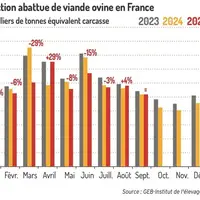 Graphique : Production abattue de viande ovine en France©GEB-Institut de l'élevage d'après le SSP