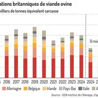 Graphique : Exportations britanniques de viande ovine©GEB-Institut de l'élevage d'après HMRC