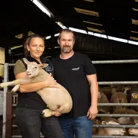 Nans et Céline Marcel ont choisi la race Romane au moment de leur installation en 2024 sur 40 ha de SAU.