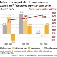 Collecte en zone de production du Pecorino Romano, d'octobre à mai, fabrications, exports et cours du lait