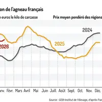 Cotation de l'agneau français