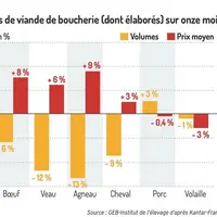 Achats de viande de boucherie (dont élaborés) sur 11 mois