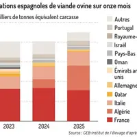 Exportations espagnoles de viande ovine sur 11 mois
