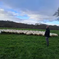 En pâturage hivernal, le passage des strongles digestifs d’une espèce à l’autre peut être considéré comme quasi nul.