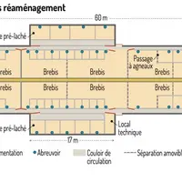 Schéma : Plan de la bergerie après réaménagement ©Inn'ovin