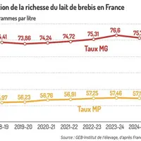 Graphique : Évolution de la richesse du lait de brebis en France©GEB-Idele, d'après FranceAgriMer