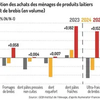 Graphique : Évolution des achats des ménages de produits laitiers au lait de brebis (en volume)©GEB-Idele d'après Kantar