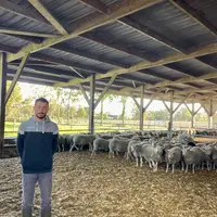 Un éleveur se tient dans une bergerie.