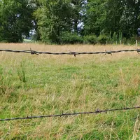 Cette clôture avec 5 barbelés convient aux brebis car les rangs du bas sont suffisamment serrés.