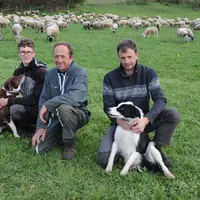 Trois hommes avec deux chiens, assis dans l'herbe, et des brebis dans le fond.