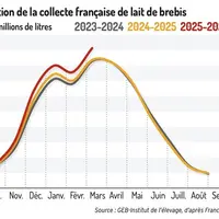 Évolution de la collecte française de lait de brebis