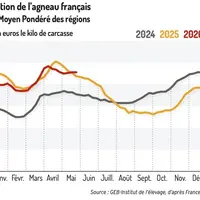 Cotation de l'agneau français