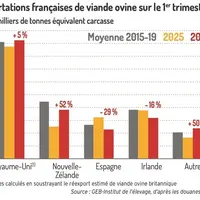 Importations françaises de viande ovine sur le 1er trimestre