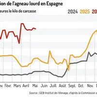 Le cours de l'agneau au 1er trimestre 2026 est supérieur de 2,17 euros le kilo au 1er trimestre 2025.