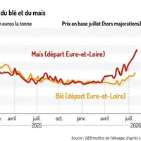 Cours du blé et du maïs en euros par tonne