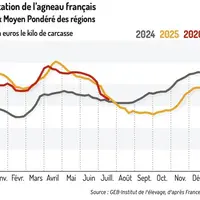 Cotation de l'agneau français en euros par kilos de carcasse