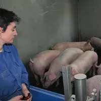 Un état d'esprit 
qui requiert une 
expertise technique 
de haut niveau.