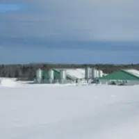Les Canadiens ont  observé avec attention la propagation du virus qui a fini par toucher la quasi-totalité des Etats américains.