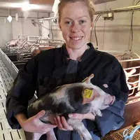 Clémence Colimard, vétérinaire Breizhpig.