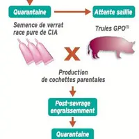 Source : chambre d'agriculture