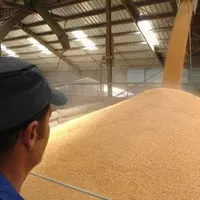 Selon les volumes à stocker, les installations existantes, et le budget qu’on veut y consacrer, des solutions différentes existent pour stocker les cé
