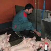 Des circuits d'eau conçus pour que chaque salle ait son propre réseau, et que chacun se termine par une vanne de purge facile d'accès.