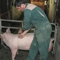 La cordelette doit être placée le plus en avant possible de la poitrine, juste derrière la pointe des coudes.