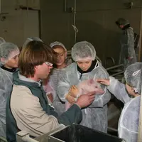 David Riou, éleveur et président de la commission communication de l'UGPVB, fait visiter un élevage de porcs aux enfants de l'école de Trémeur, dans l