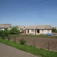 Le virus de la DEP a été détecté en Ukraine.