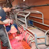 Une loi sur l’installation en projet