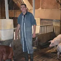 François Menard, gérant de l’EARL de la Cosseterie (59), mise sur le verrat terminal duroc danbred pour améliorer les performances de ses porcs charcu