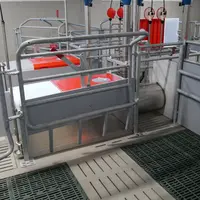 La trappe guillotine permet d’isoler les porcelets et facilite les soins.