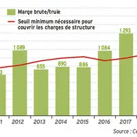 La marge brute par truie atteint un niveau record en 2019 © Cerfrance Côte-d'Armor