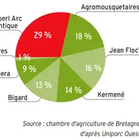Répartition des abattages de porcs en Bretagne par groupe en 2019 © Chambre d'agriculture de ...
